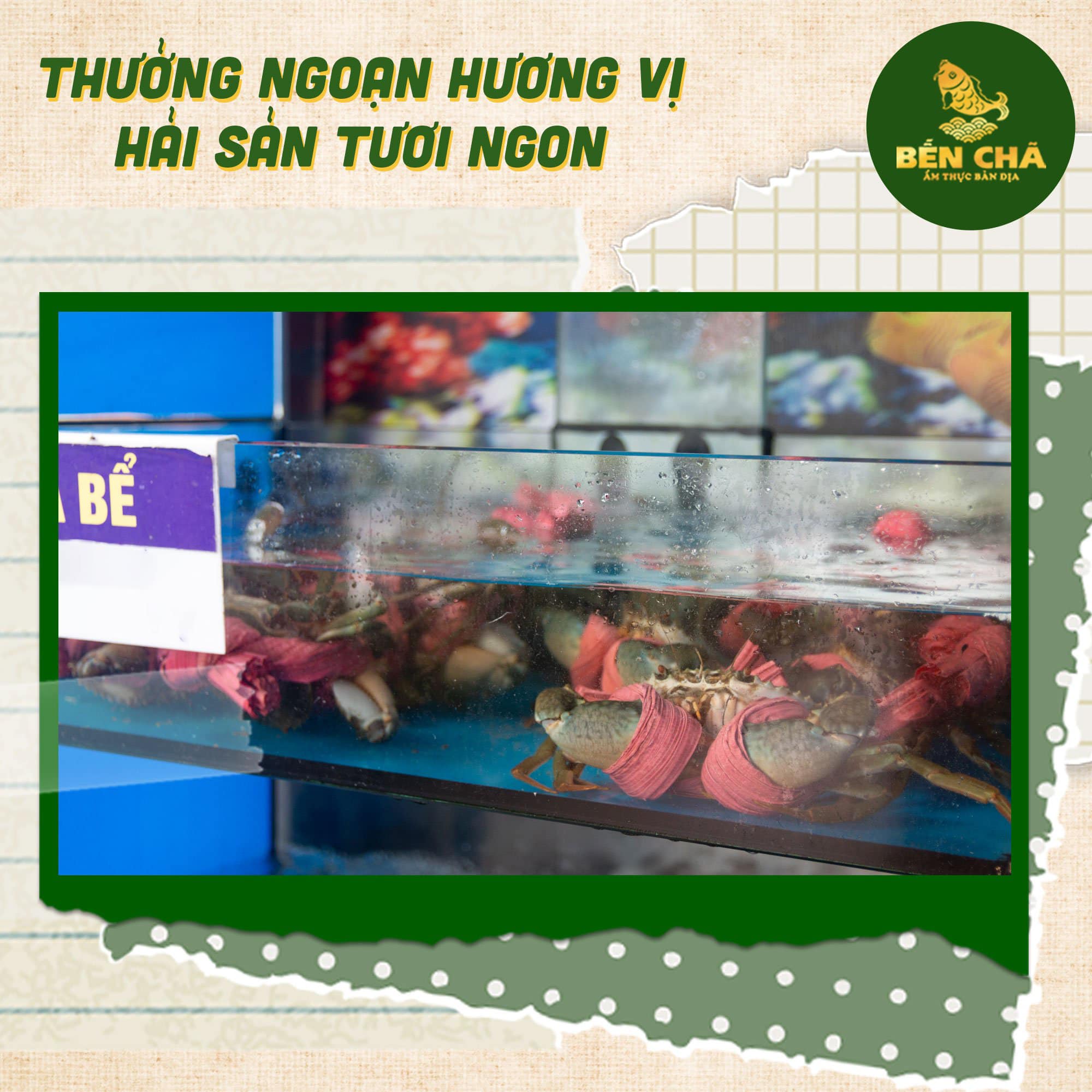 nhà hàng hải sản ăn ngon tại Hạ Long