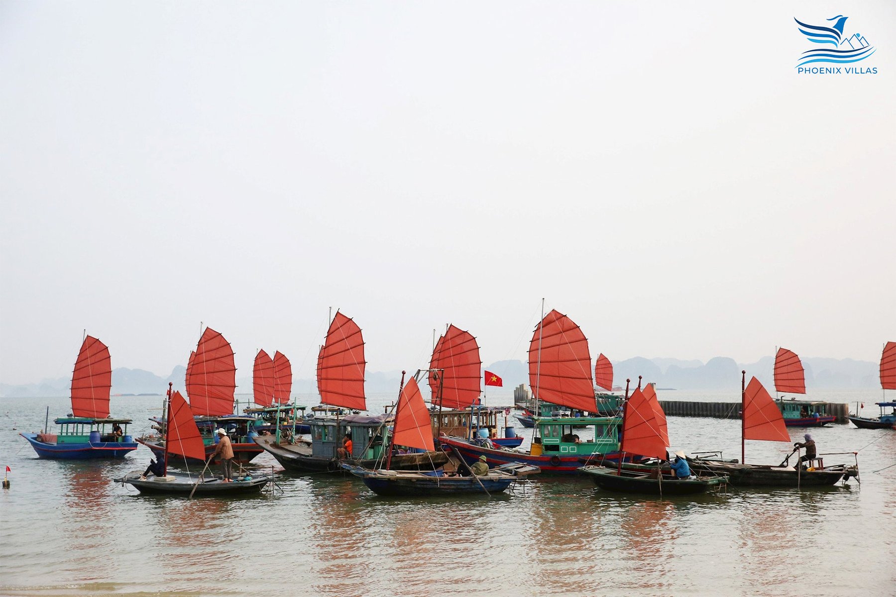 Đội thuyền buồm biểu diễn dưới biển cũng đang tập luyện vị trí, hướng đi để đảm bảo theo đúng kịch bản chương trình.