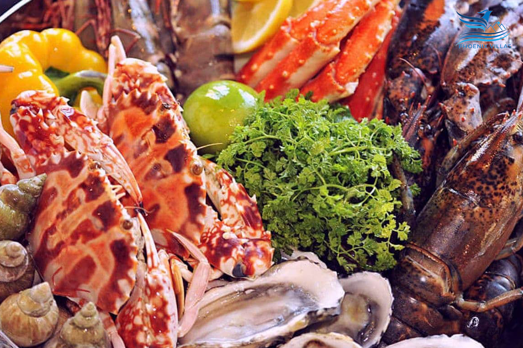Đến với bãi biển Bãi Cháy, du khách sẽ được thưởng thức các món hải sản biển tươi ngon
