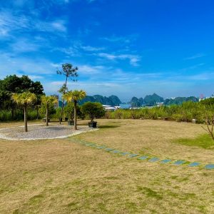 phoenix-villa-flc-bt1237-113