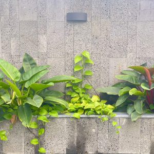 phoenix-villa-flc-bt1237-120