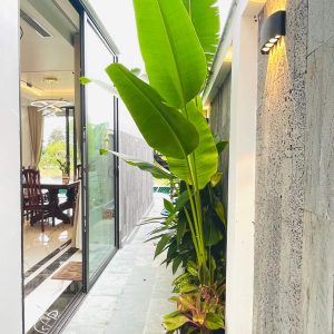 phoenix-villa-flc-bt1237-121