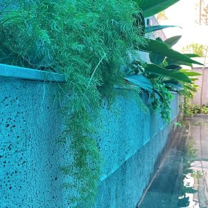 phoenix-villa-flc-bt1237-122