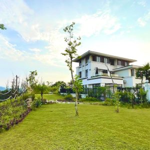 phoenix-villa-flc-bt815-113