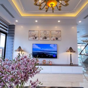 phoenix-villa-flc-bt903-127