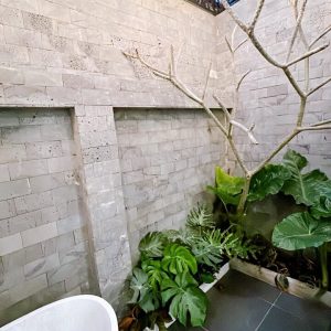 phoenix-villa-flc-bt912-147