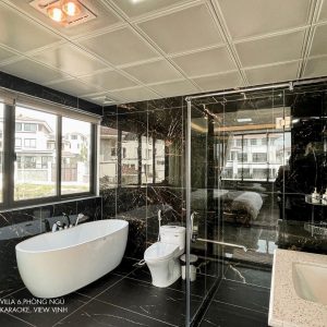 phoenix-villa-flc-bt934-150