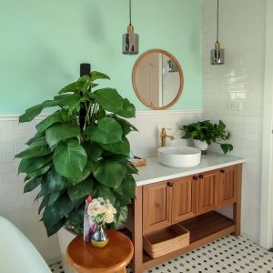 phoenix-villa-flc-bt946-135