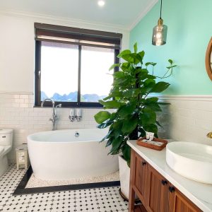 phoenix-villa-flc-bt946-155