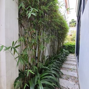 phoenix-villa-flc-ha-long-bt632-115