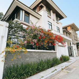 phoenix-villas-flc-bt925-111