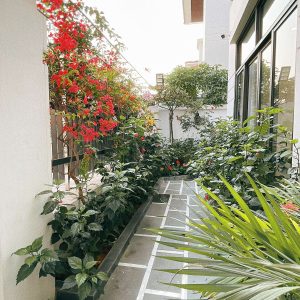 phoenix-villas-flc-bt925-118